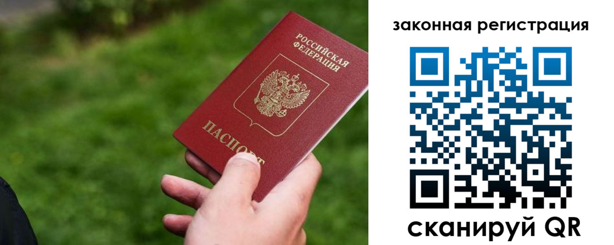 прописка законно в Павлово